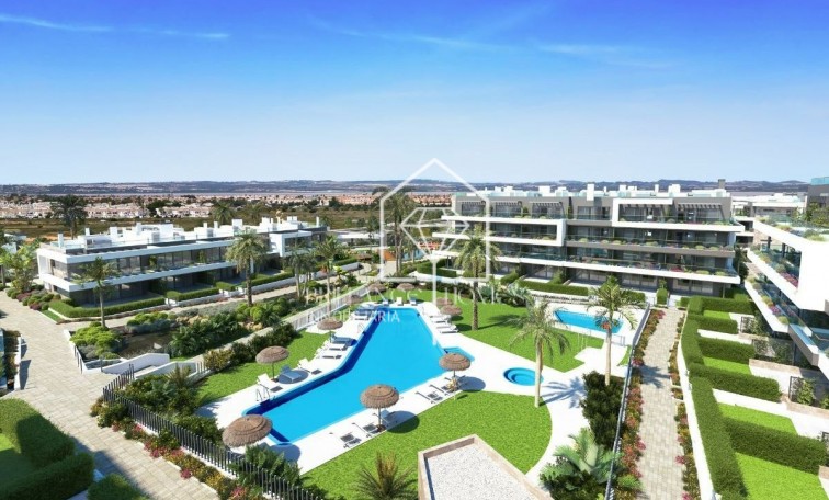 Apartament - Nowa konstrukcja - Torrevieja - Aguas Nuevas