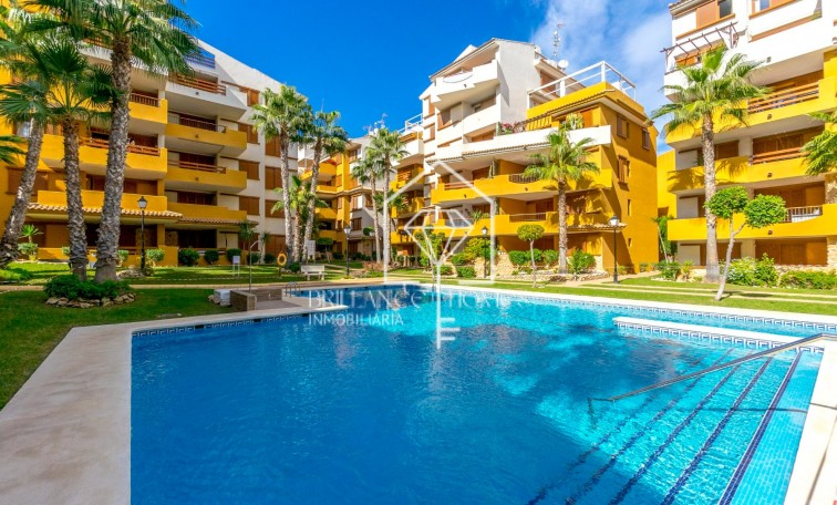 Apartament - Sprzedaż - Orihuela Costa - Punta Prima