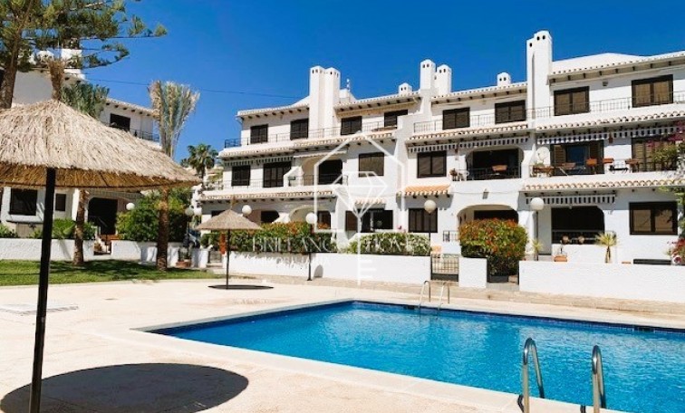 Apartment flat - Revente - Cabo Roig - Cabo Roig