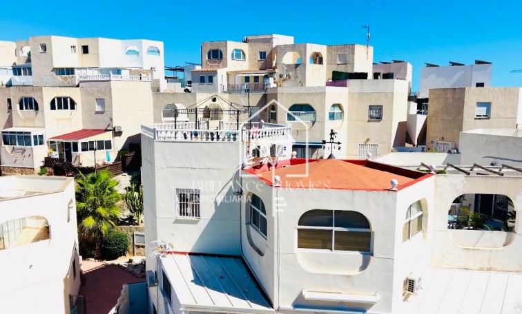Apartment/mieszkanie - Sprzedaż - San Miguel de Salinas - San Miguel de Salinas