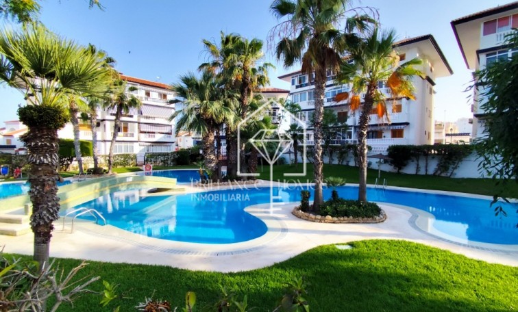 Apartment - Resale - La Mata - La Mata