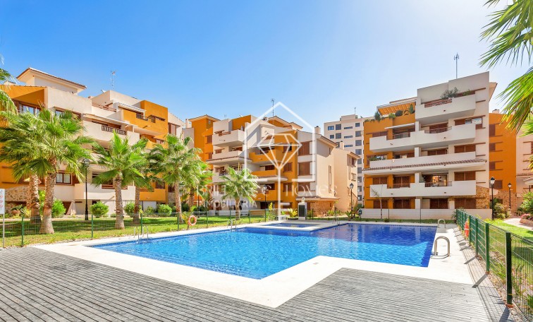 Apartment - Resale - Punta Prima - La Recoleta