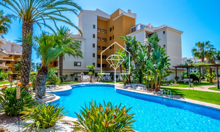 Apartment - Sale - Punta Prima - La Entrada