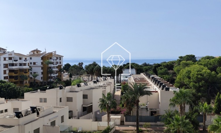 Apartment - Sale - Punta Prima - Punta Prima