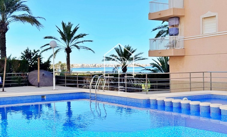 Apartment - Sale - Torrevieja - Rocio del Mar