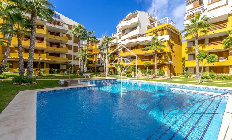 Apartment - Segunda mano - Torrevieja - Punta Prima