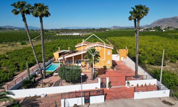 Finca / Country Property - Revente - Orihuela - Orihuela