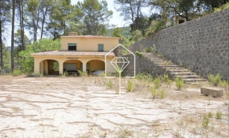 Finca - Sale - Planes - Planes