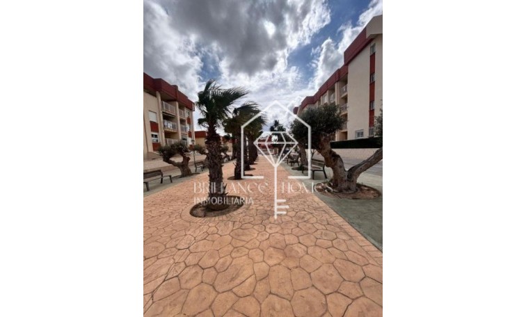 Flats - Nowa konstrukcja - Orihuela - Orihuela