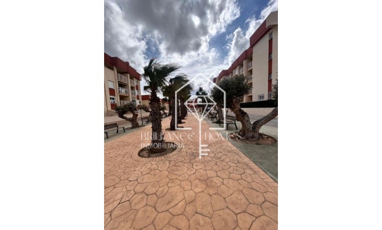 Flats - Obra nueva - Orihuela - Orihuela