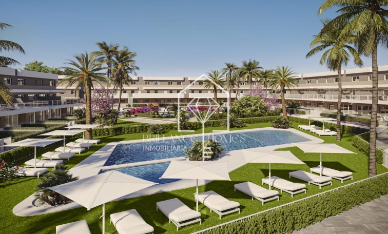 Ground floors - New Build - Monforte del Cid - Monforte del Cid