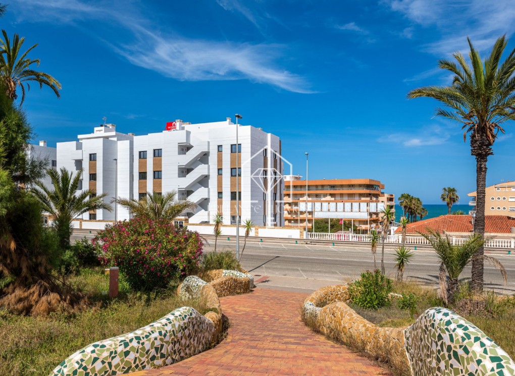 New Build - Wohnung - Guardamar del Segura - Guardamar Playa