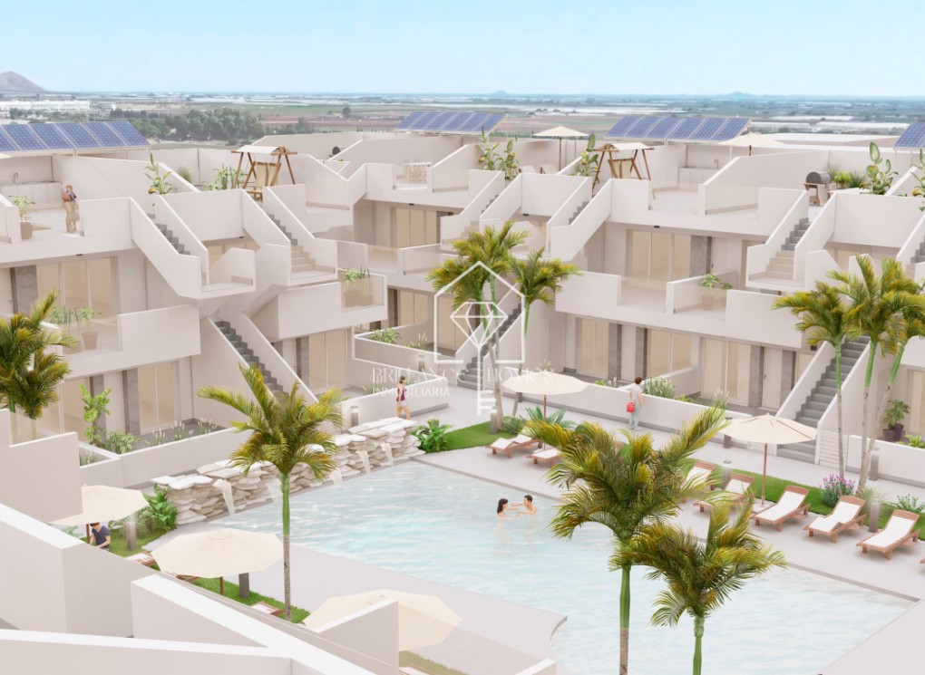 New Build - Wohnung - Torre-Pacheco