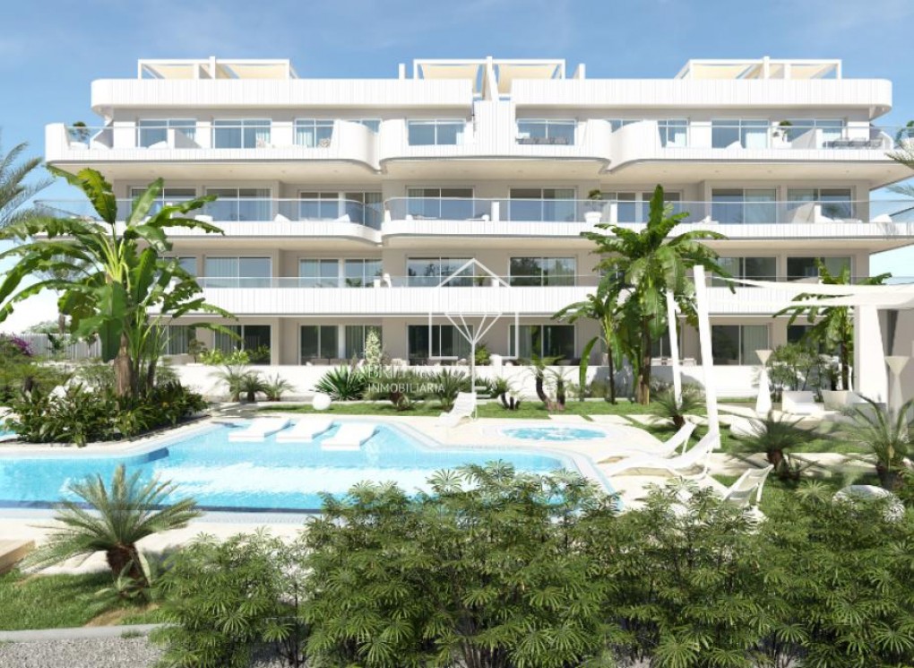 Obra nueva - Apartamento / piso - Orihuela