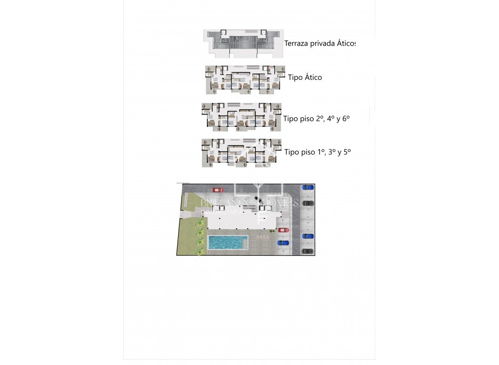 Obra nueva - Flats - Finestrat - 03509