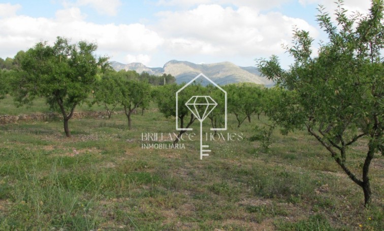 Plot - Sale - Murla - Murla