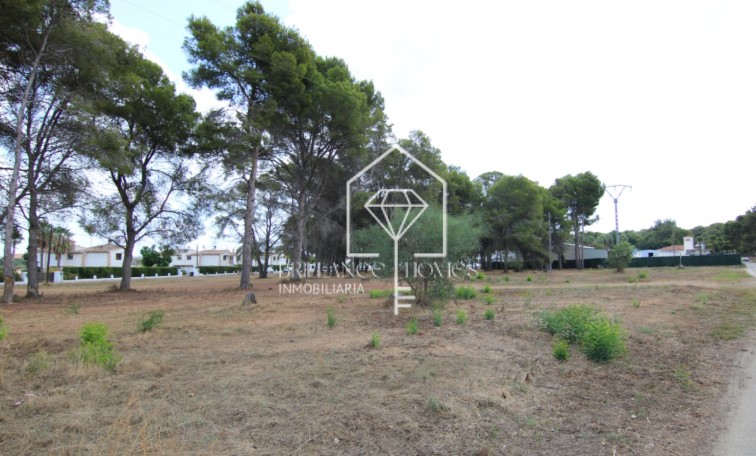 Plot - Sprzedaż - Jávea - Jávea