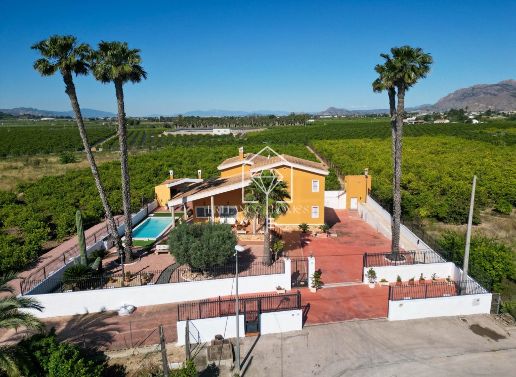 Revente - Finca / Country Property - Orihuela