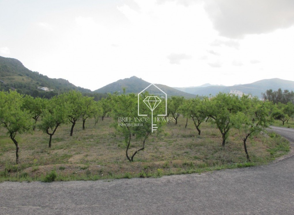 Revente - Plot - Murla