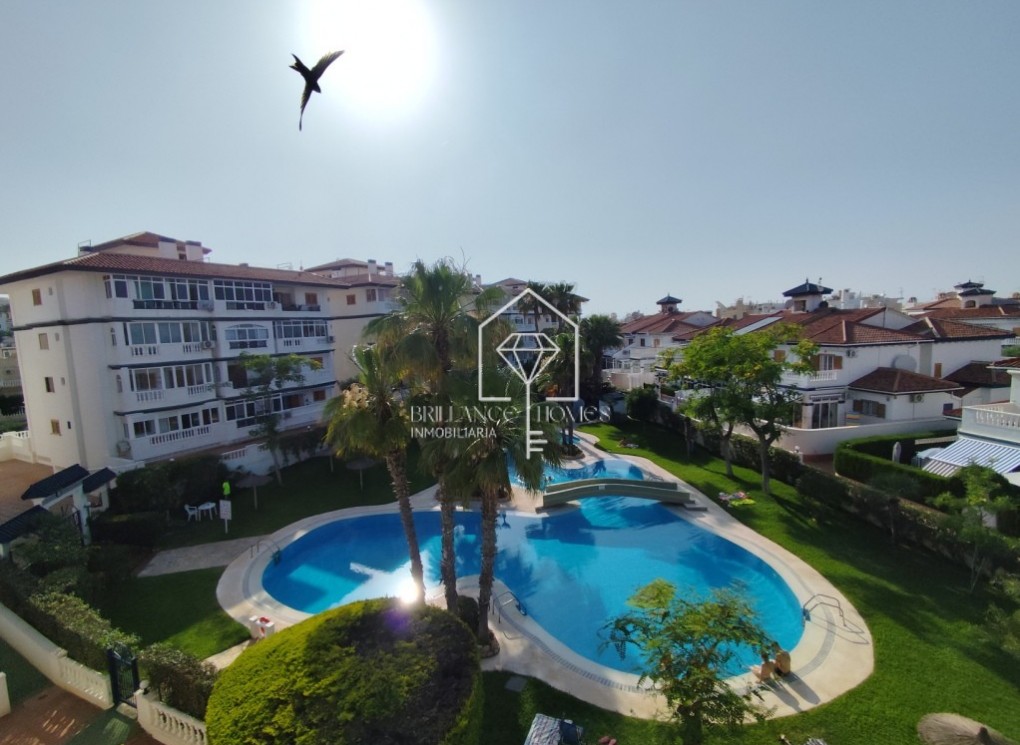 Revente - Studio - Torrevieja