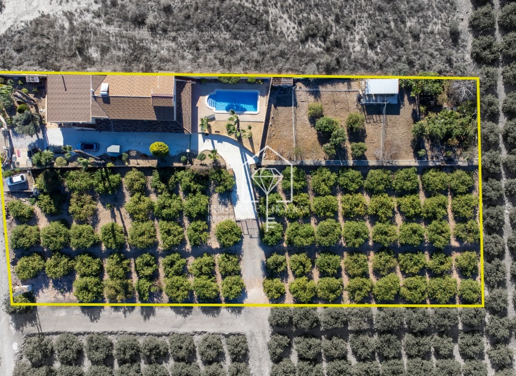 Sale - Finca / Country Property - Orihuela - La Matanza
