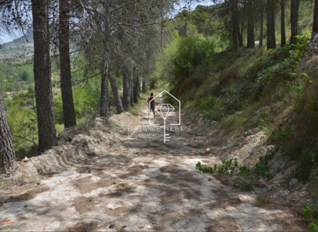 Sale - Finca - Planes