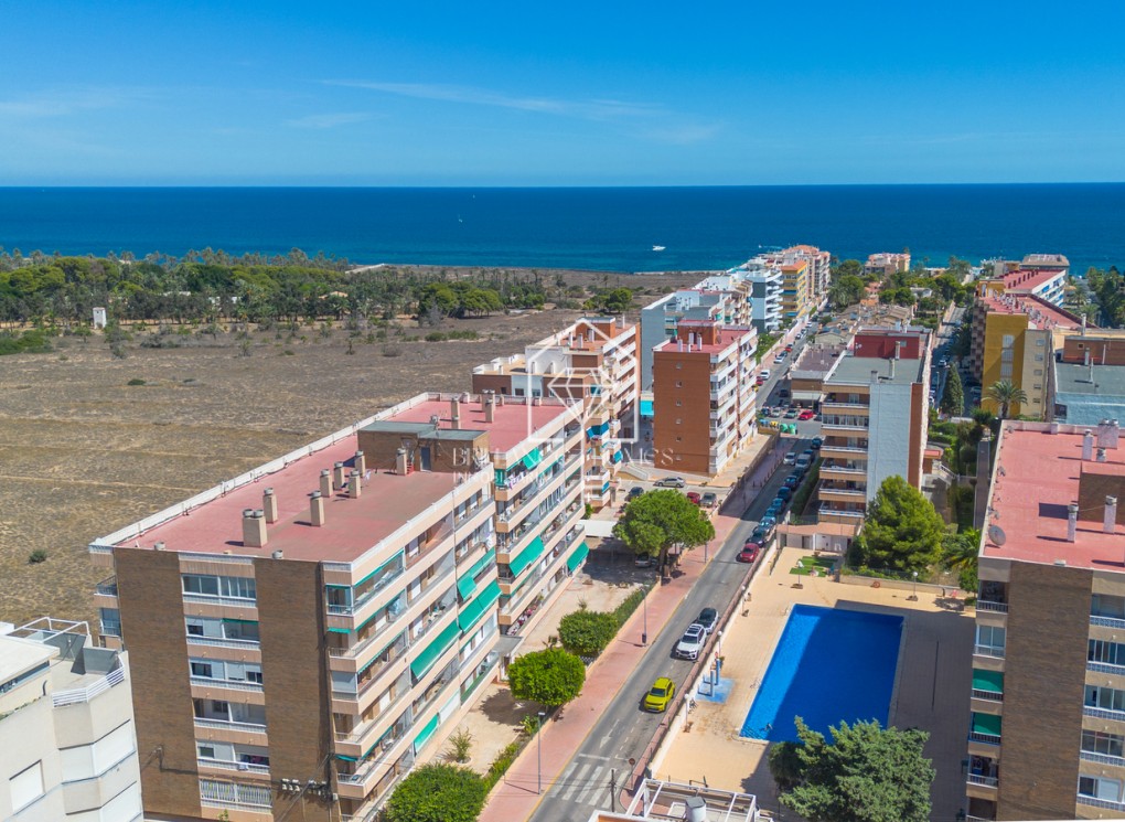Segunda mano - Apartamento / piso - Torrevieja - Rocio del Mar