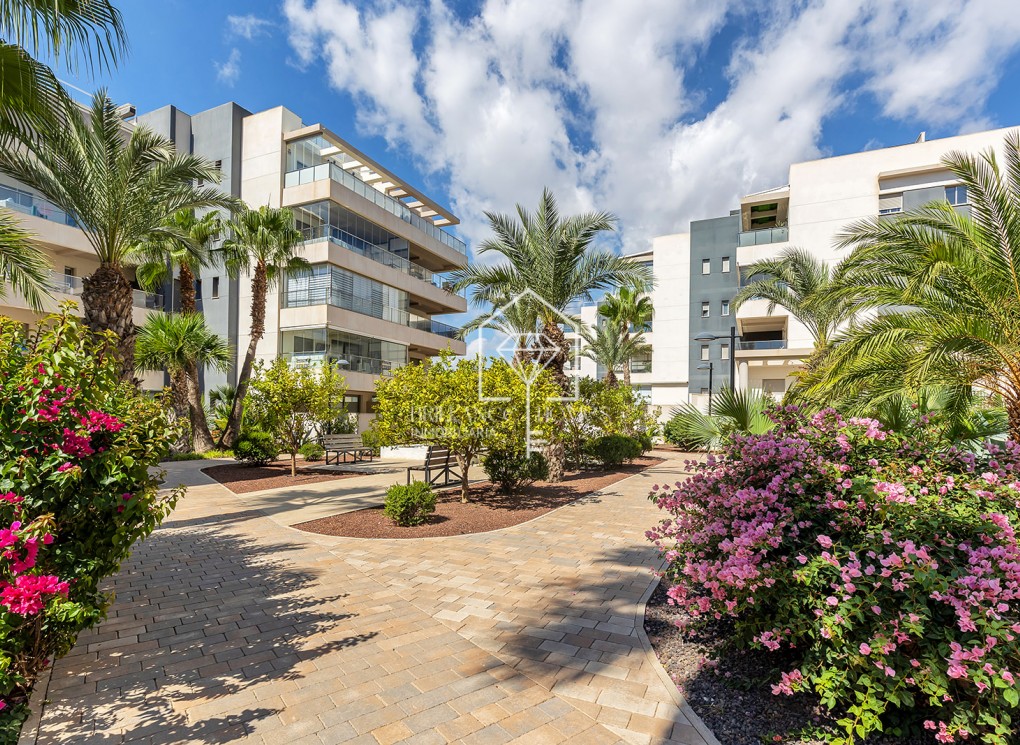 Segunda mano - Apartment - Orihuela Costa - Villamartín