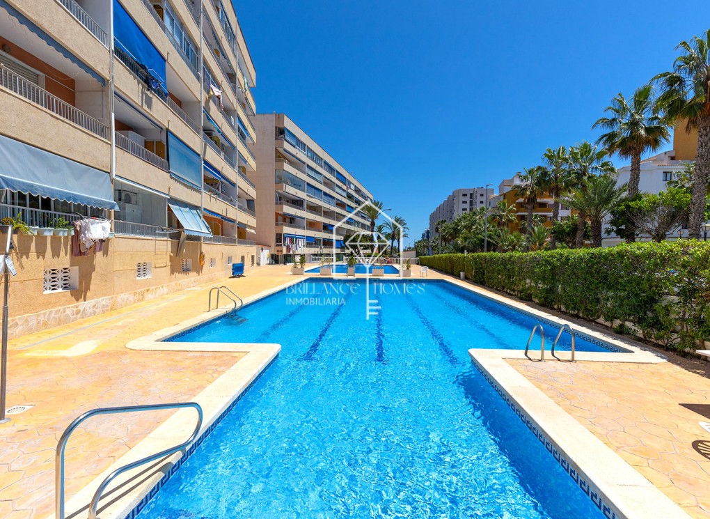 Segunda mano - Apartment - Torrevieja - Rocio del Mar