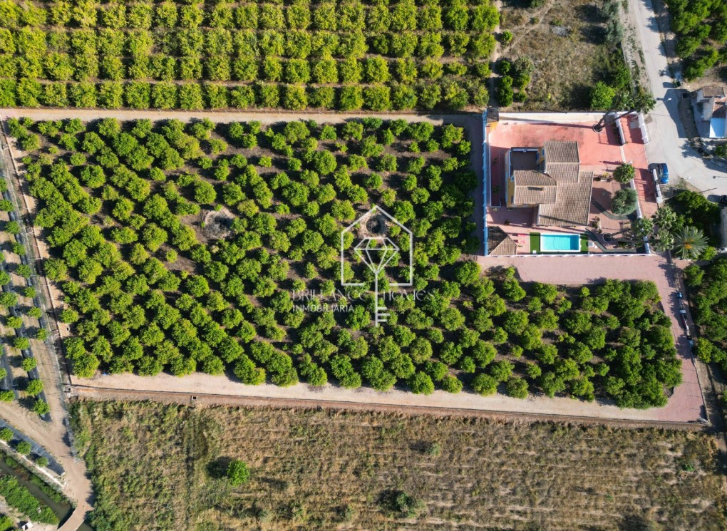 Segunda mano - Finca / Country Property - Orihuela