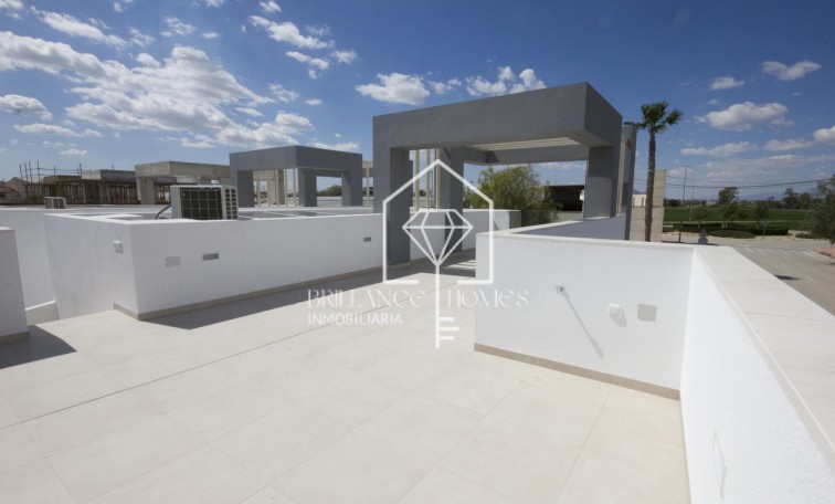 Obra nueva - Bungalows - San Fulgencio - 03177