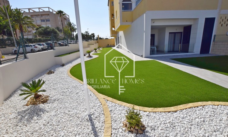 Obra nueva - Ground floors - Torrevieja - 03188