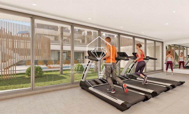 New Build - Flats - Pilar de la Horadada