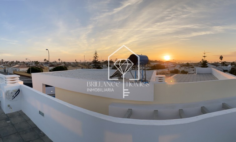 Obra nueva - Villas - Torrevieja - 03186