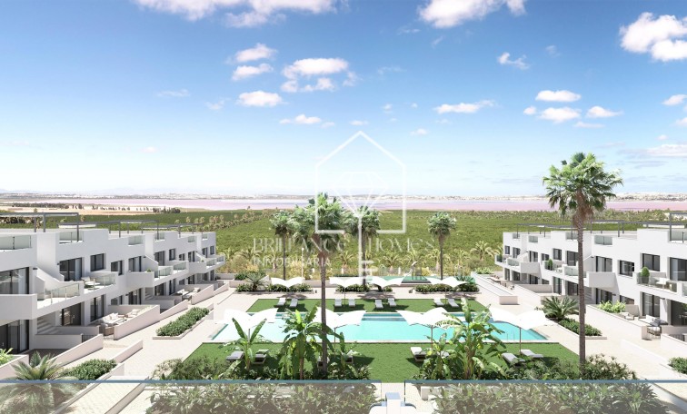 Obra nueva - Bungalows - Torrevieja - 03186