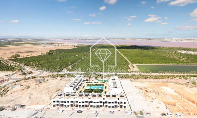 Obra nueva - Bungalows - Torrevieja - 03186