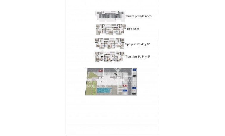 Obra nueva - Flats - Finestrat - 03509