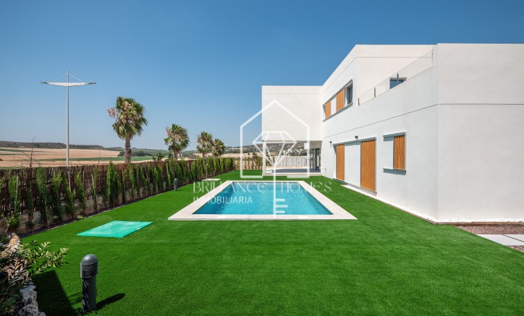 Obra nueva - Villas - Algorfa - 03169