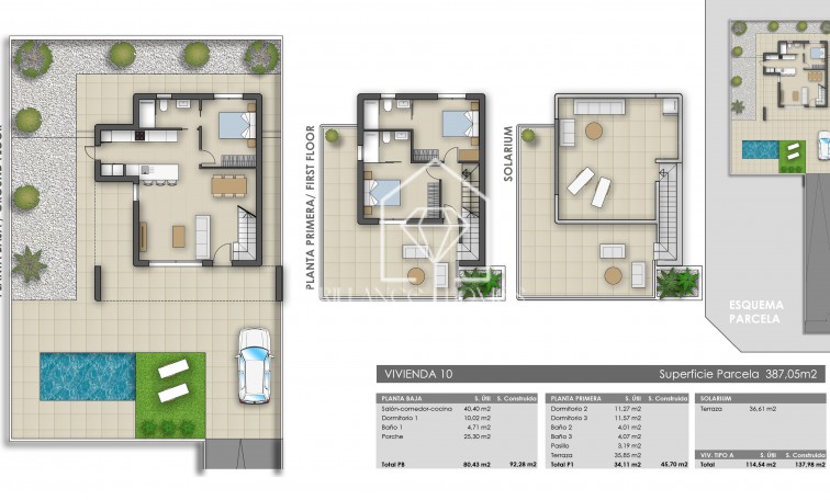 Obra nueva - Villas - Pilar de la Horadada - 03190