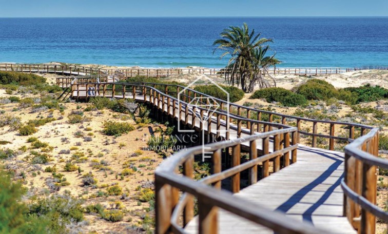 Nouvelle construction - Ground floors - Monforte del Cid