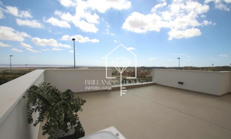 Nouvelle construction - Villas - San Miguel de Salinas - 03193