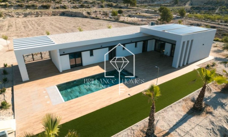 New Build - Villas - Pinoso - 03569