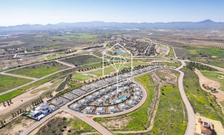 Obra nueva - Detached chalet - Fuente-Álamo