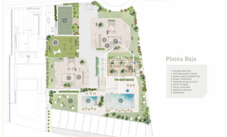 New Build - Flats - Calpe