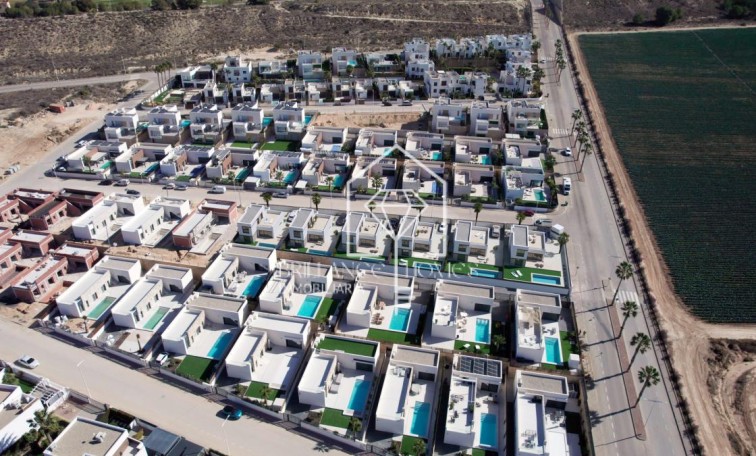 Obra nueva - Villas - Algorfa