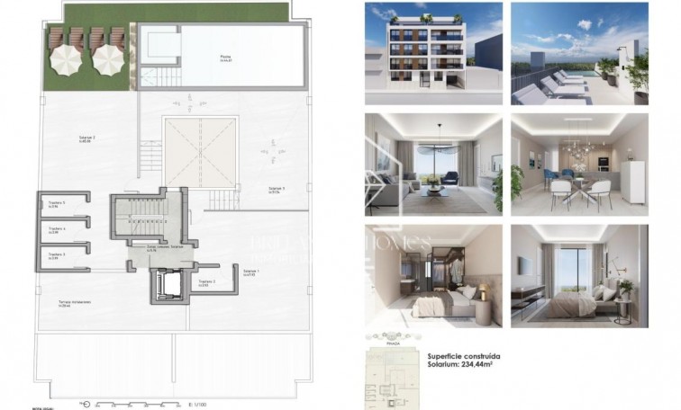 Obra nueva - Flats - Guardamar del Segura