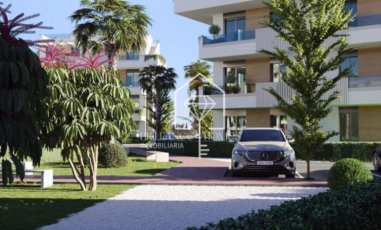 New Build - Apartment - Torre Pacheco