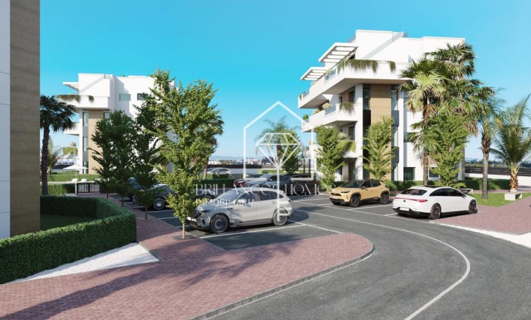 New Build - Apartment - Torre Pacheco