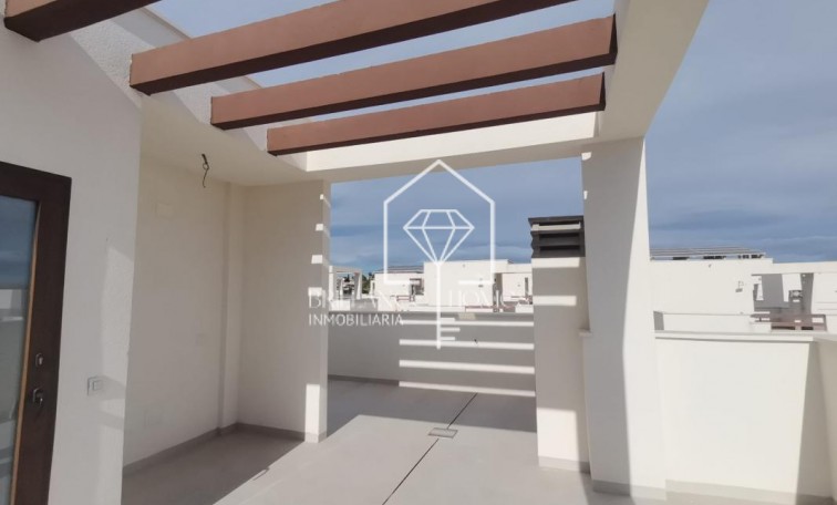 Nouvelle construction - Villas - Rojales