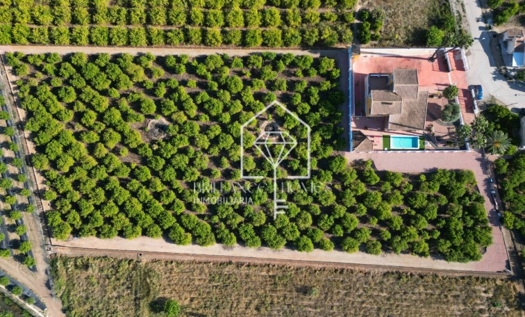 Segunda mano - Finca / Country Property - Orihuela